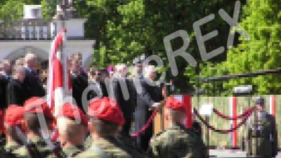 Aliquam ultrices ante a facilisis consequat